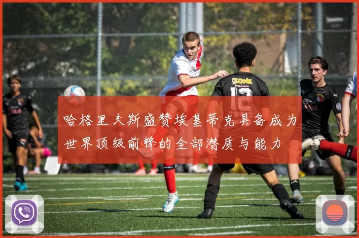哈格里夫斯盛赞埃基蒂克具备成为世界顶级前锋的全部潜质与能力
