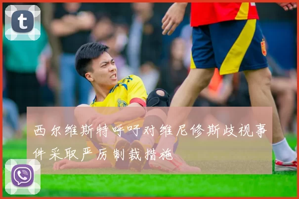 西尔维斯特呼吁对维尼修斯歧视事件采取严厉制裁措施